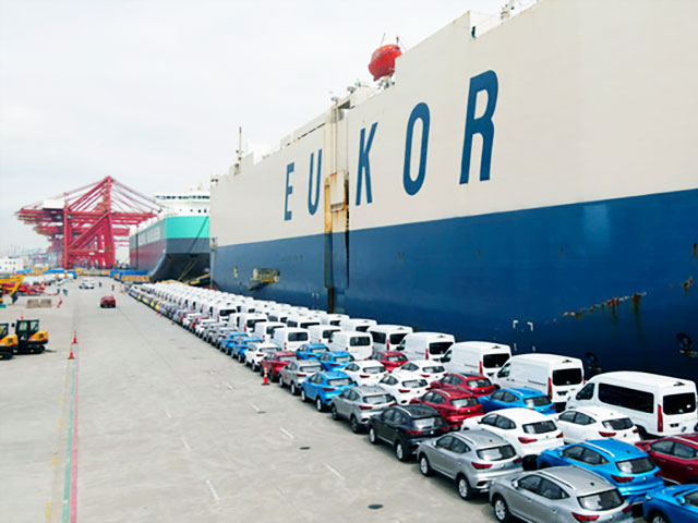 上海海通國(guó)際汽車(chē)碼頭有限公司消防年檢